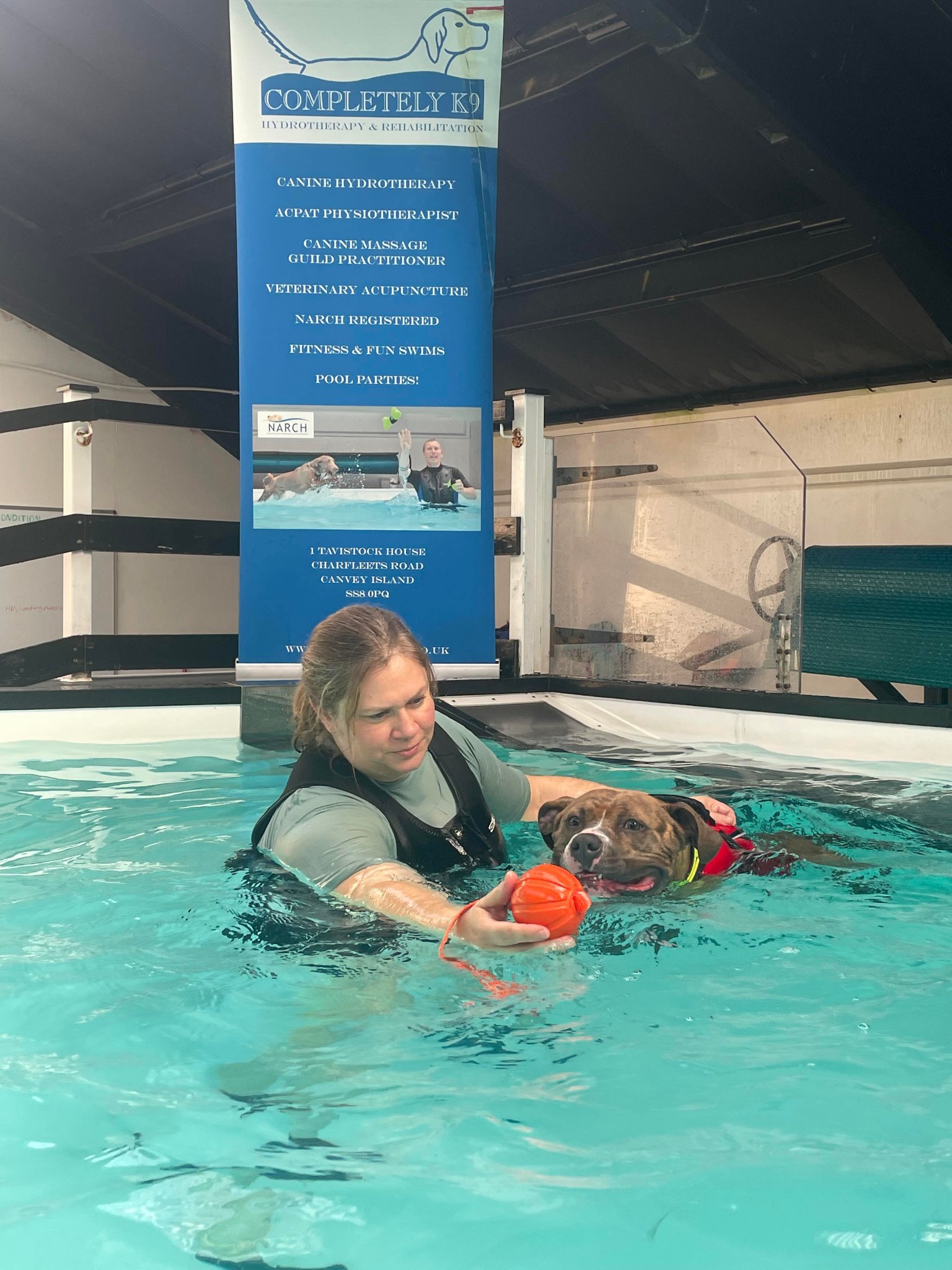 Wendy and Winnie in the hydrotherapy rehabilitation pool